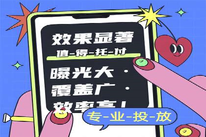 百度竞价SEM成功案例：揭秘广告投放秘诀